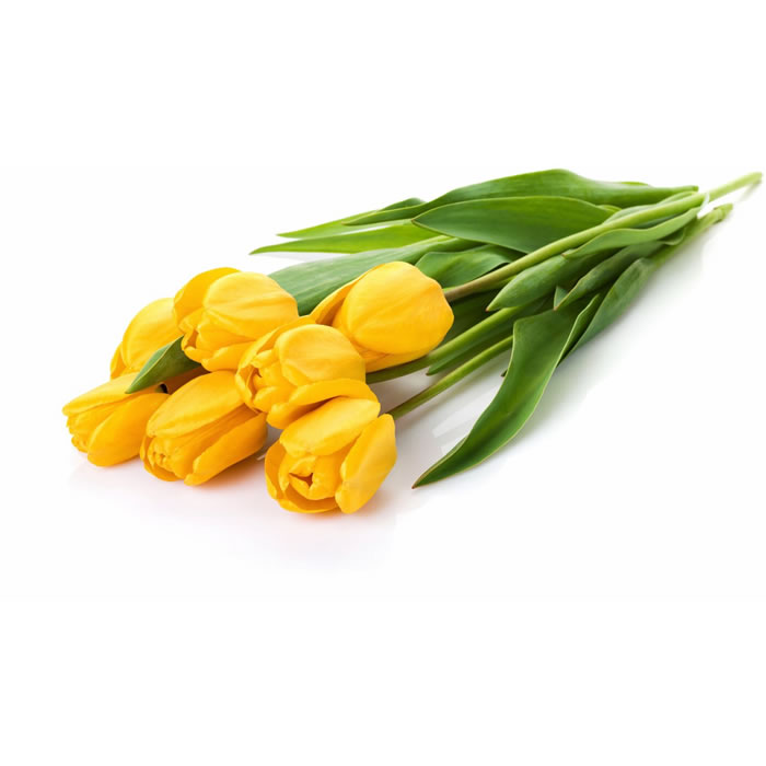 FLEUR Bouquet de tulipes jaunes