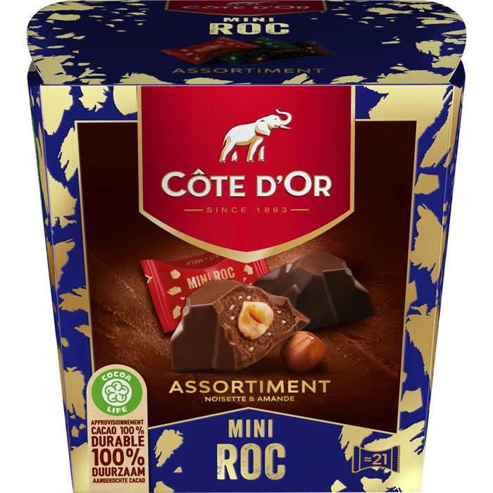 CÔTE D'OR Mini Roc Bouchées au chocolat fourrées à la noisette et amande