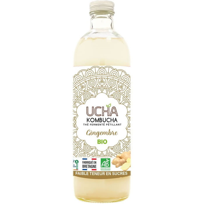 UCHA Kombucha pétillant au gingembre bio