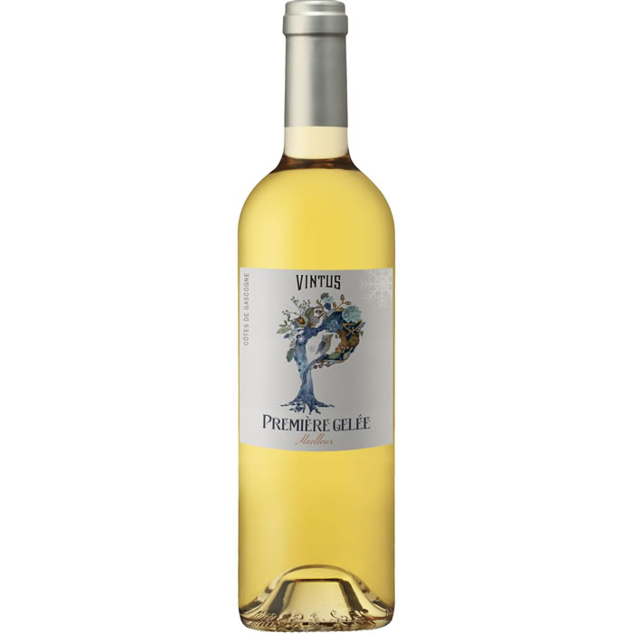 COTES DE GASCOGNE Vintus - Première gelée moelleux Vin blanc sec IGP